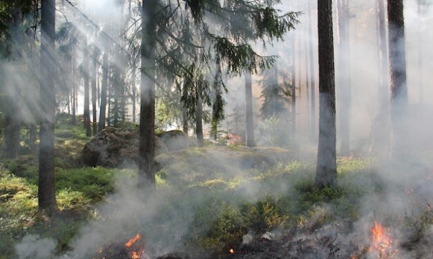 Oceanside fire has people worried over the presence of homeless encampments.