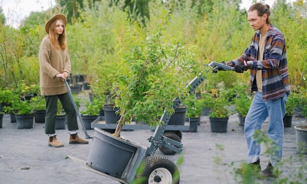 San Francisco residents are placing planters on sidewalks to deter homeless encampments