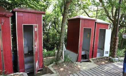 What ever happened to all the those red portable toilets around Portland?