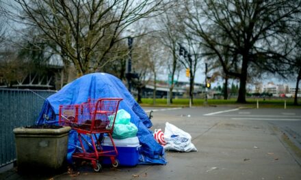 After encampment sweep at Dottie Harper park, tents are popping up everywhere in Burien