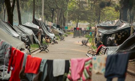 Sacramento residents concerned for their safety over homeless encampment near Grant Park