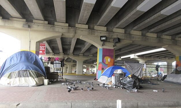 Large homeless encampment in Portland known as “The Pit” Swept