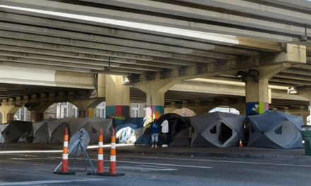 Major cleanup underway at homeless encampment under bridge in Seattle