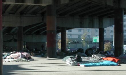 The City of Providence ordered homeless camp near highway to be removed.