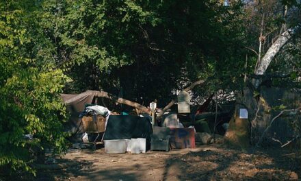 Mesa residents fed up and sick of Twin Knolls Homeless encampment