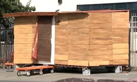 Homeless man builds small wooden house on Hollywood Boulevard