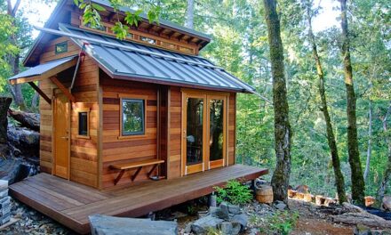 Homeless couple building their own Tiny home in Seattle