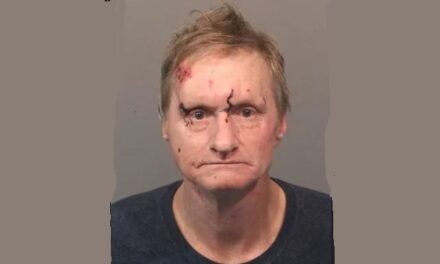 Driver pleads guilty to running car into homeless women