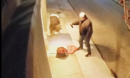 Man in video bear spraying homeless man said to be Former SF Fire Commissioner Don Carmignani