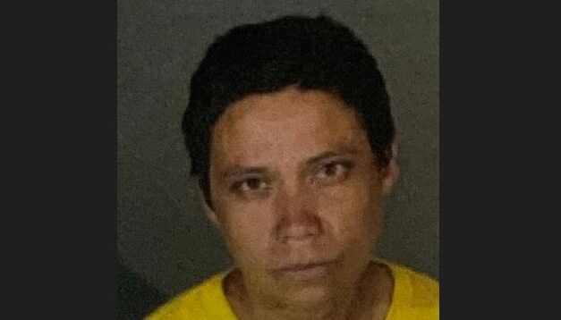 Arson suspect admits to setting multiple fires in Reseda