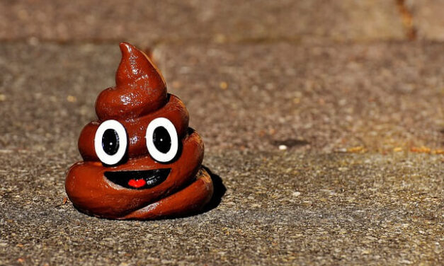 Denver business man leaves a box of poop at the steps of City Hall